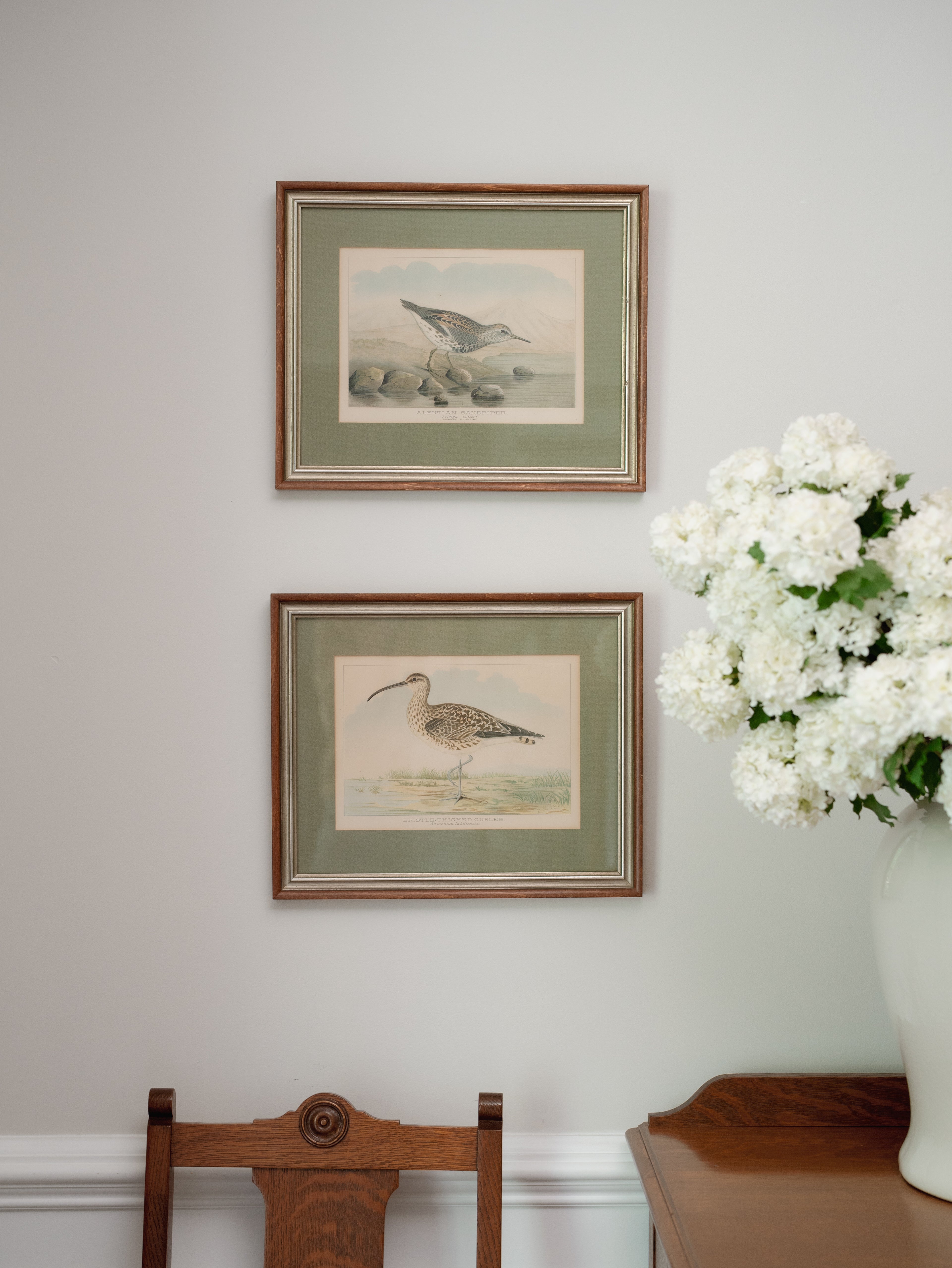 R.J. Ridgway Bird Lithographs — Set of 4, Matted & Framed