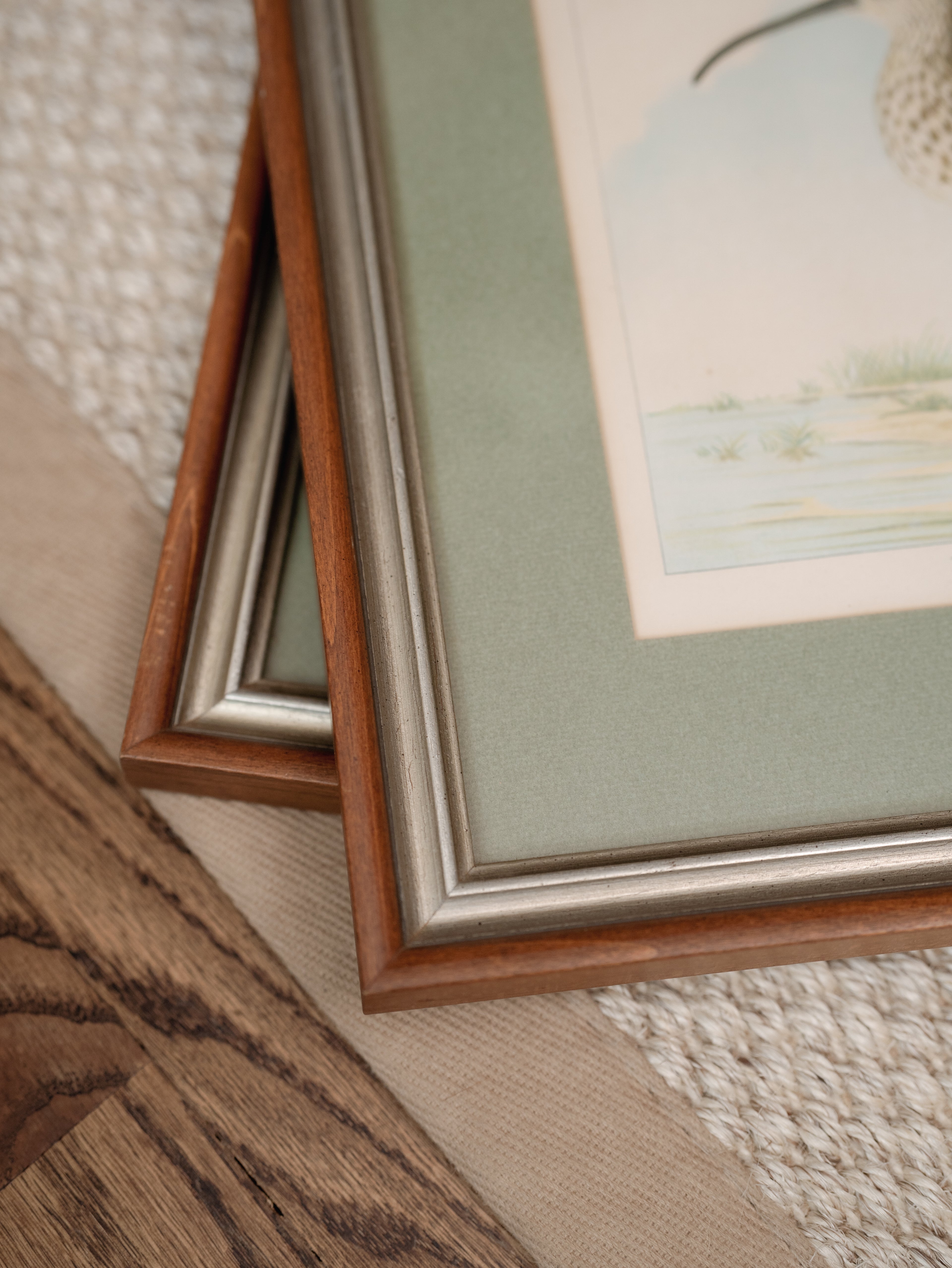 R.J. Ridgway Bird Lithographs — Set of 4, Matted & Framed