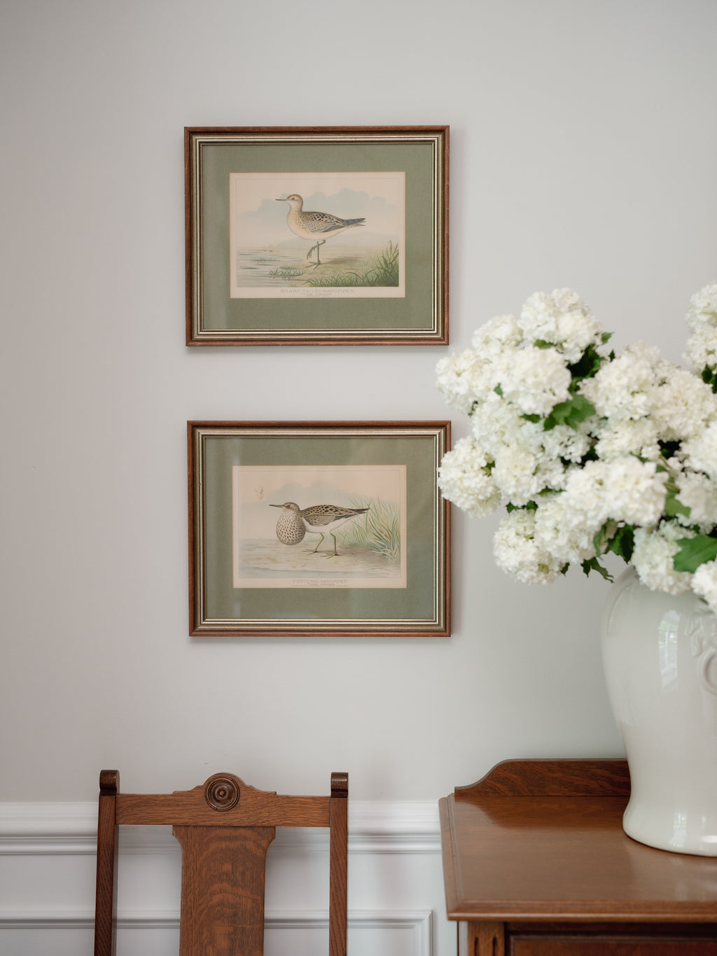 R.J. Ridgway Bird Lithographs — Set of 4, Matted & Framed